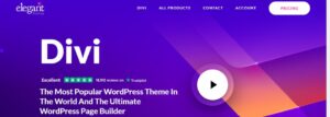 divi-theme